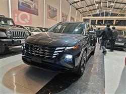 هیۆندای تۆکسۆن